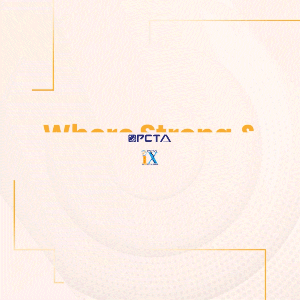 Pcta Animation Internet Exchange