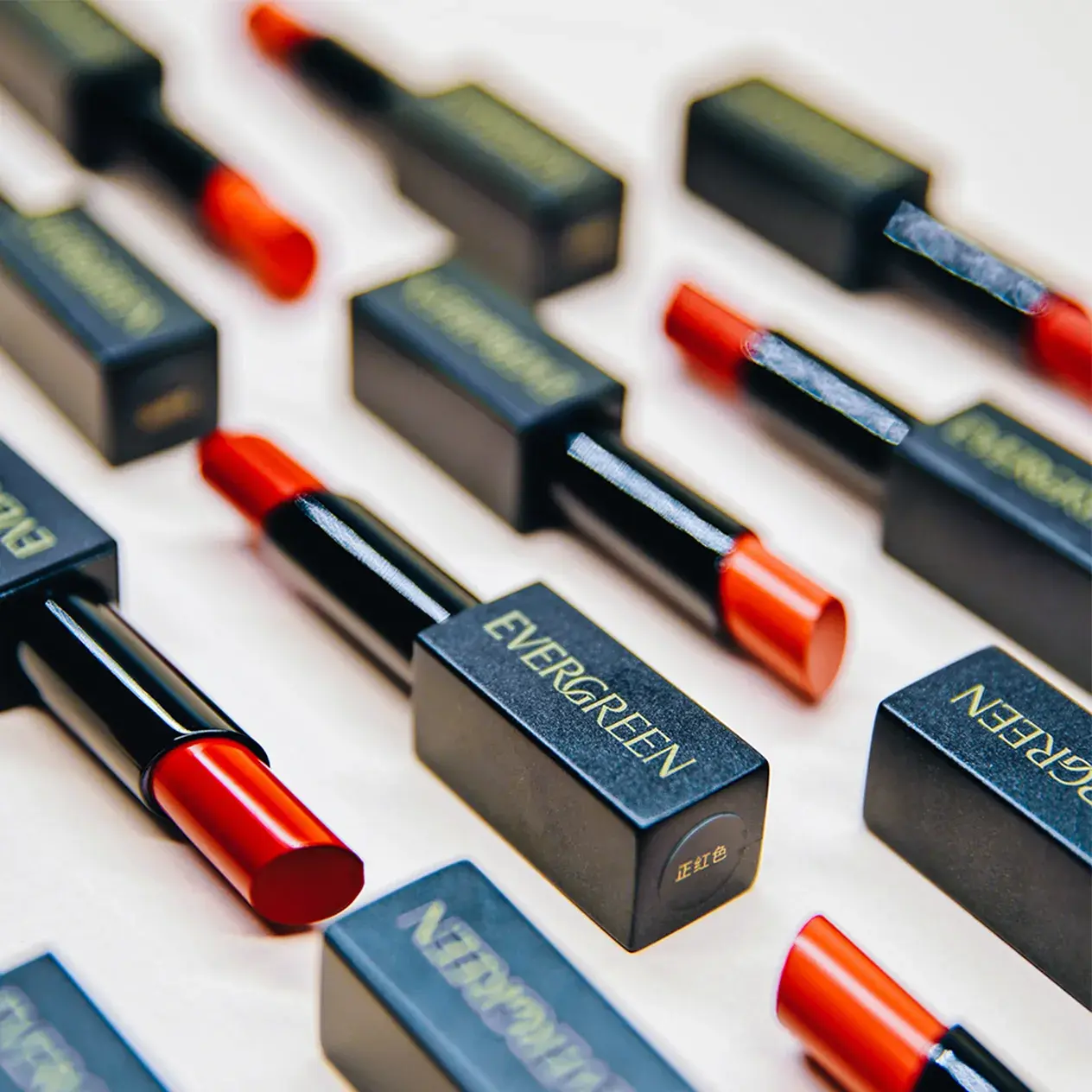 Vlongrich Asia Photoshoot Evergreen Lipsticks (1)