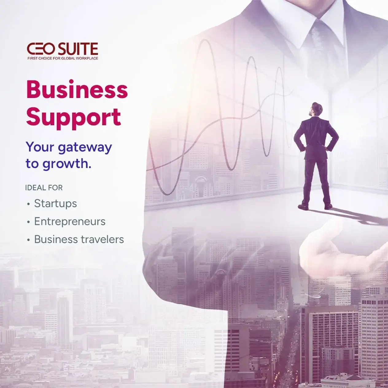 Ceo Suite Business Support