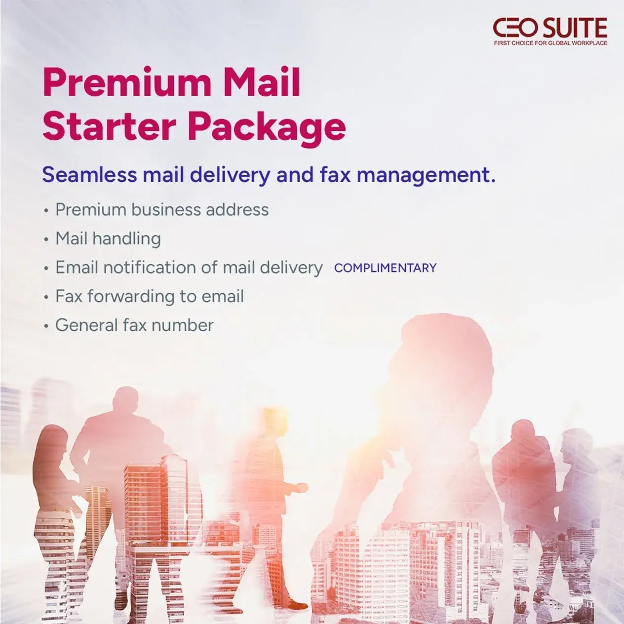 Ceo Suite Premium Mail Starter Package Content