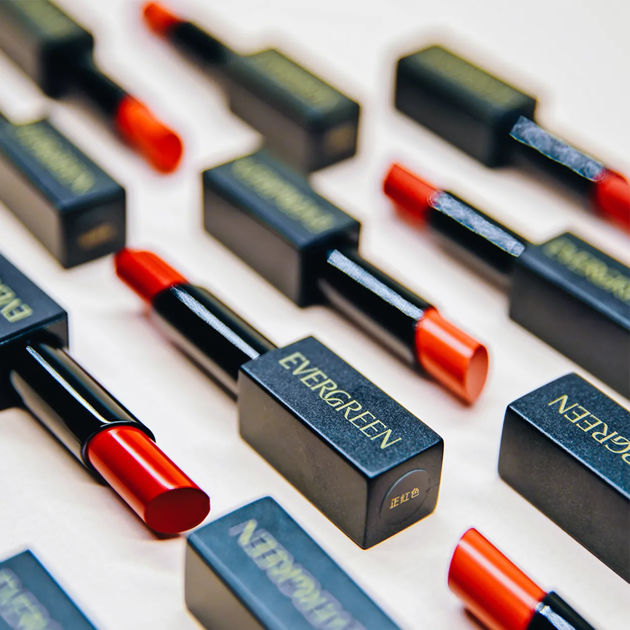 Vlongrich Asia Evergreen Lipsticks